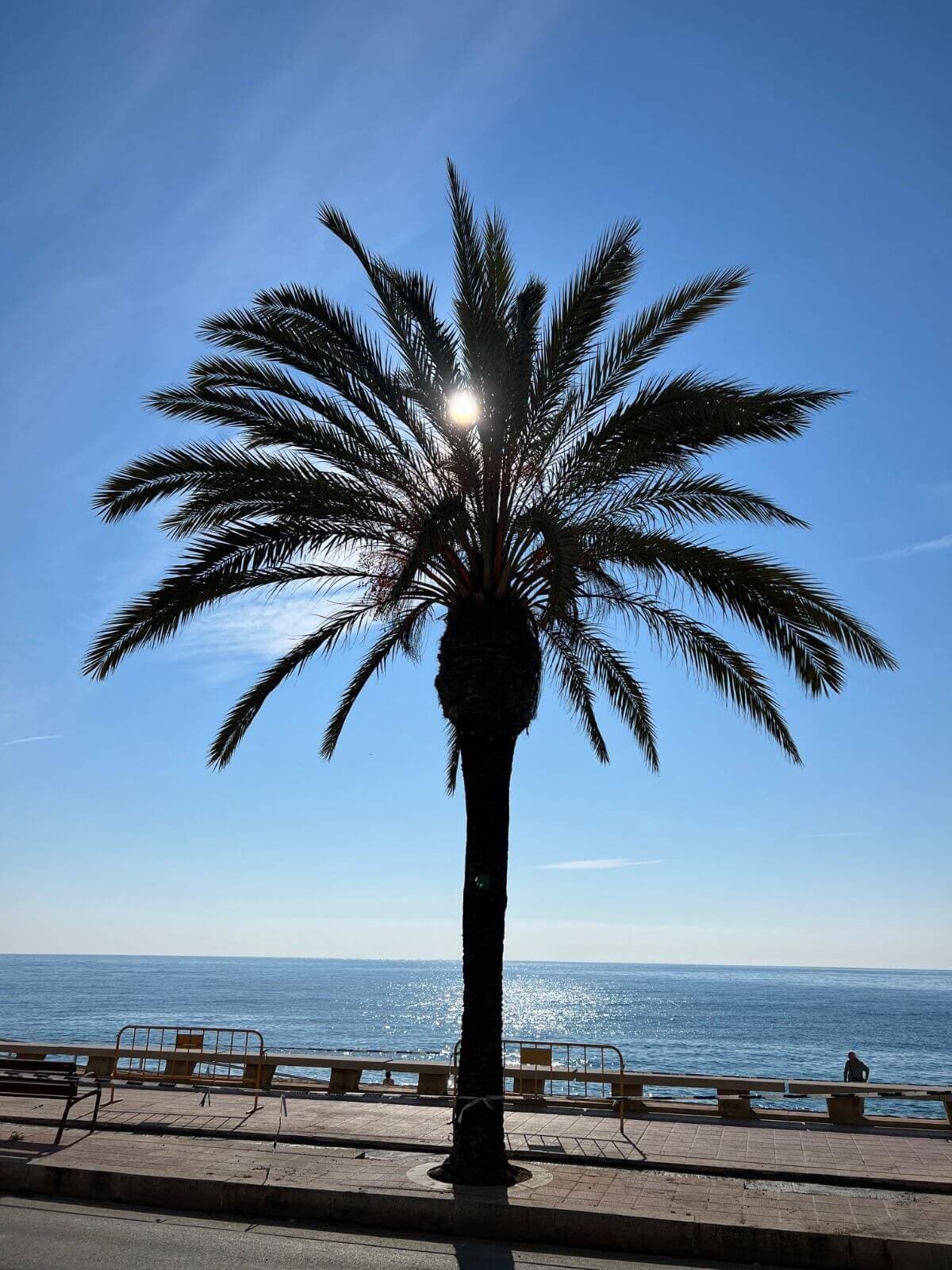 Coastal landscape of Mallorca – dream destination for emigrants from Germany